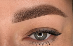 OMBRÉ / SHADOW / SHADING BROWS