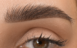 POWDER/SHADOW/OMBRE BROWS